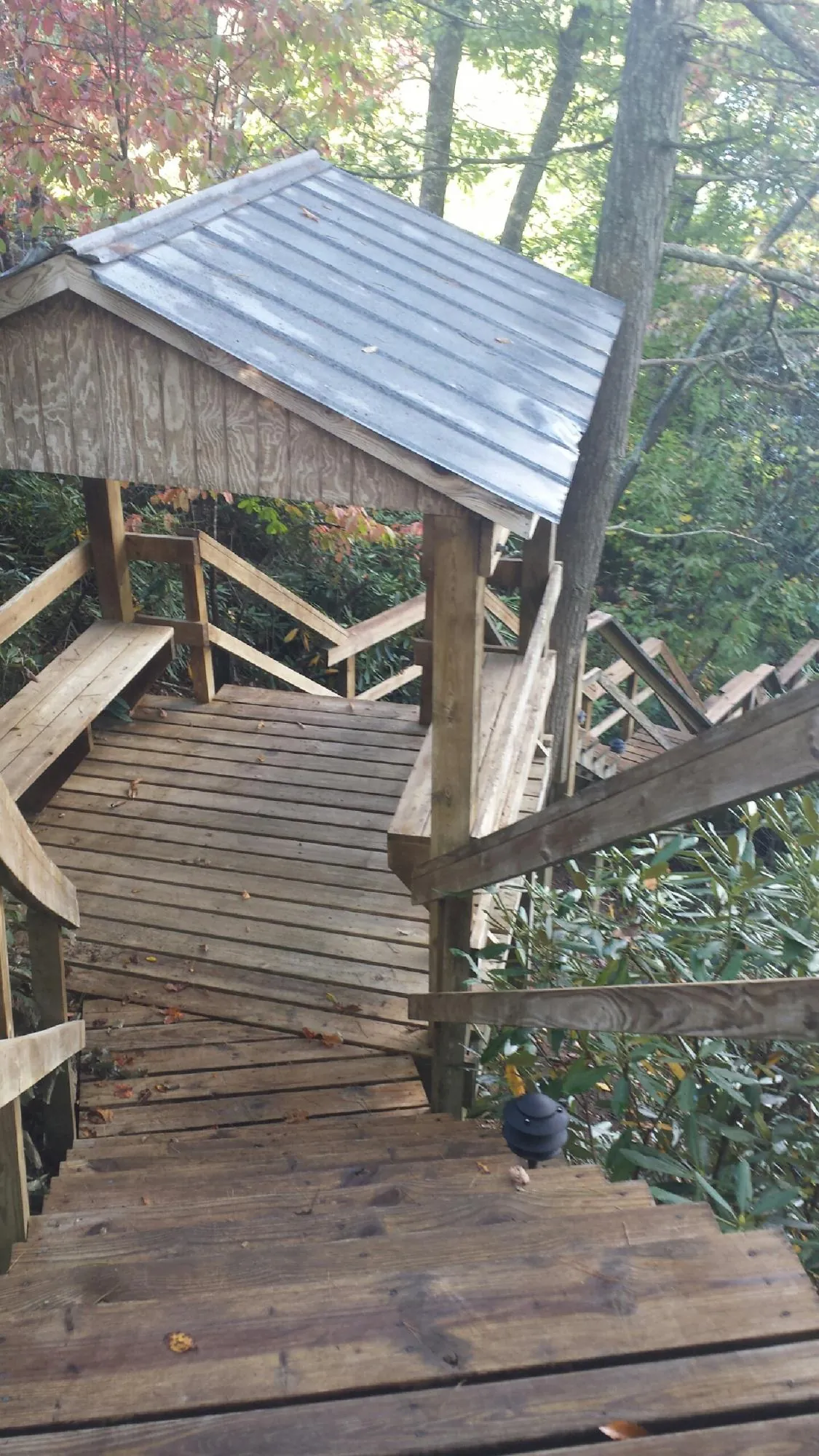 Metal roofed shelter over wooden steps on a wooded walkway in Madison